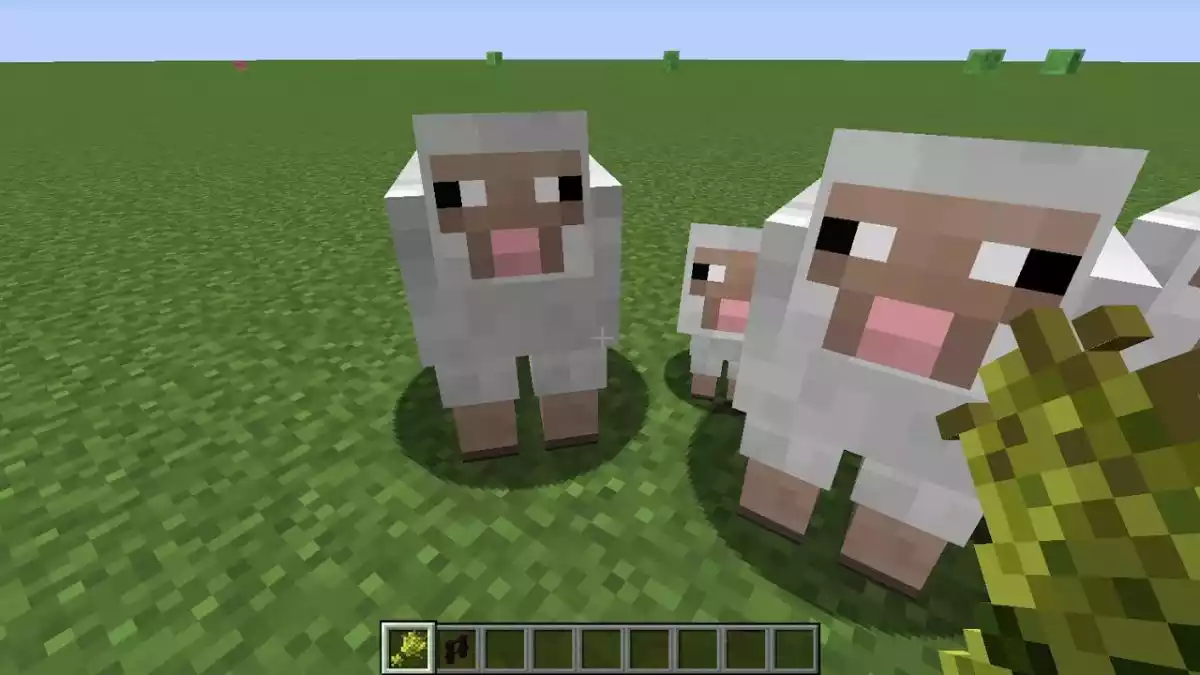 Como criar Ovelhas no Minecraft