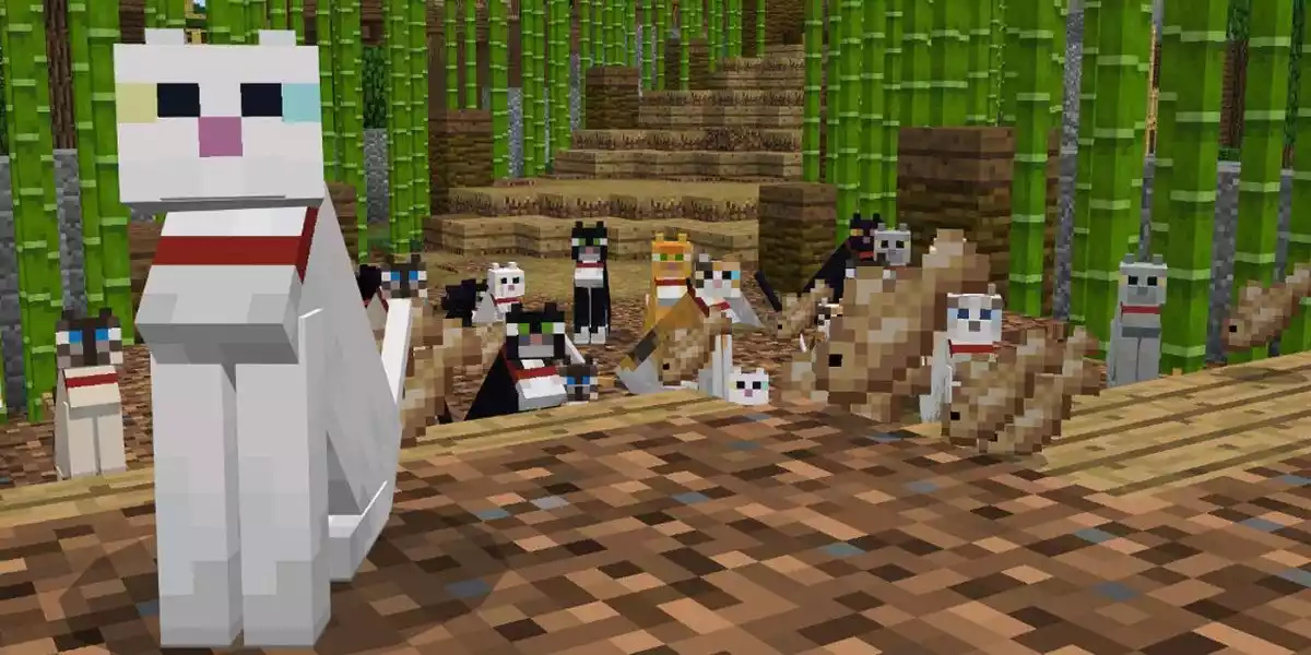 Como criar um Gato no Minecraft