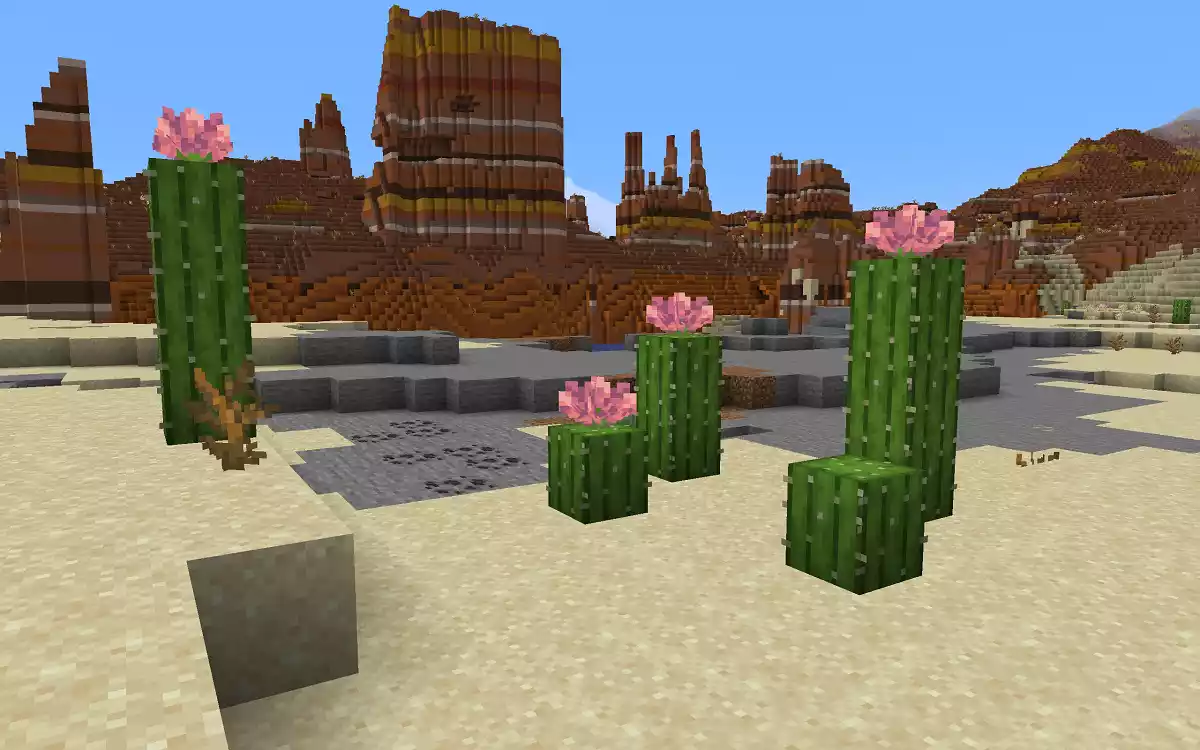 Como obter flores de cacto no Minecraft