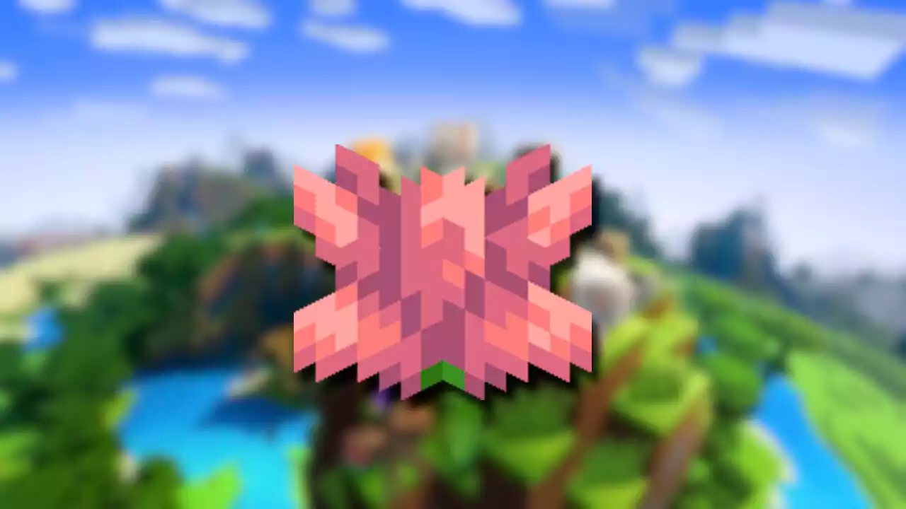 Minecraft Como conseguir Flores de Cacto