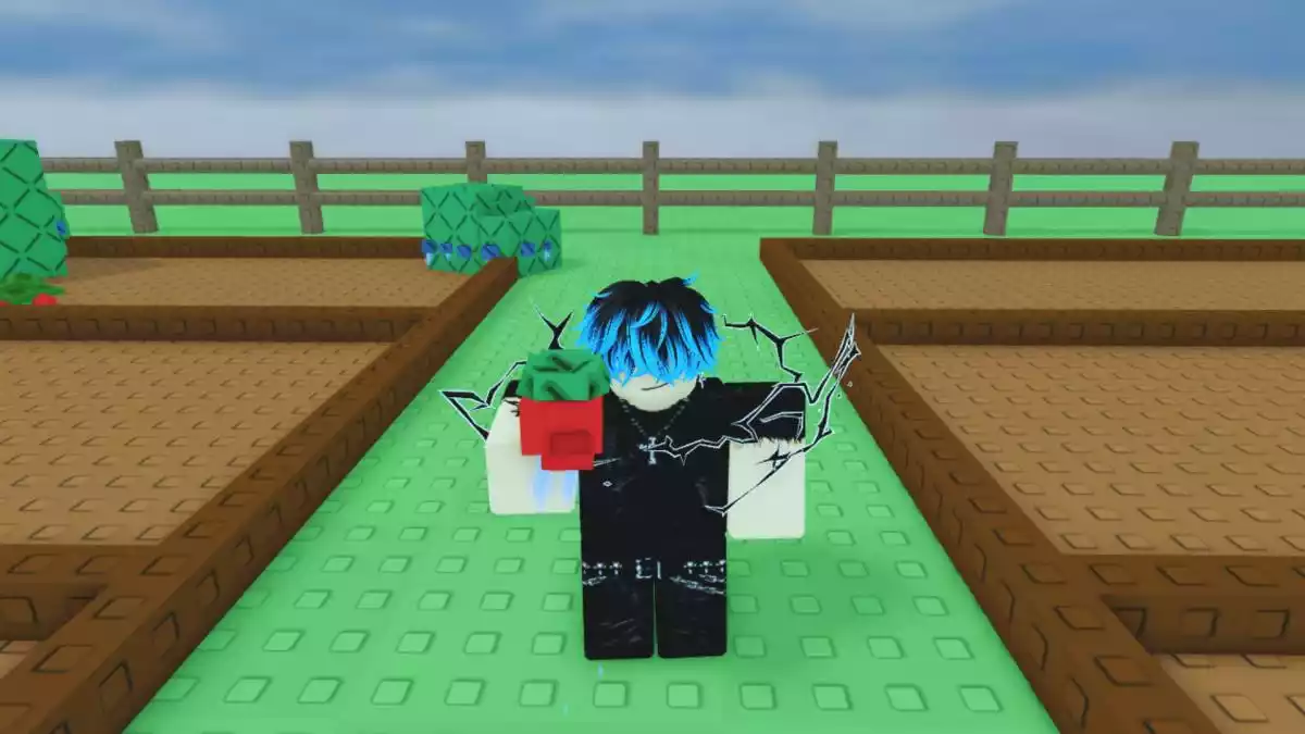 Wet Tomato Grow a Garden.jpg
