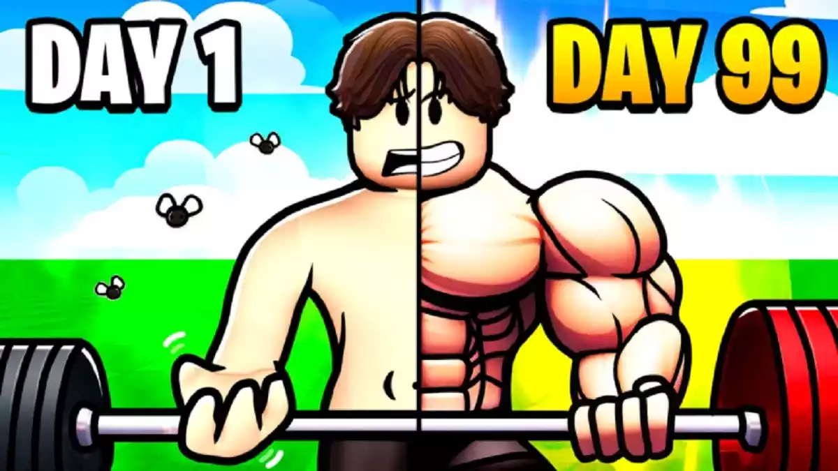 O que é o Gym Showdown Simulator (Simulador de Showdown no Ginásio) Roblox