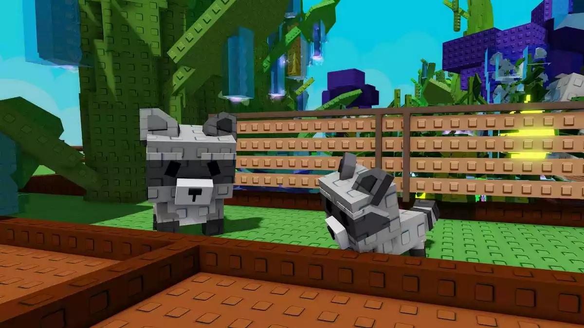 Pet Guaxinim Grow a Garden