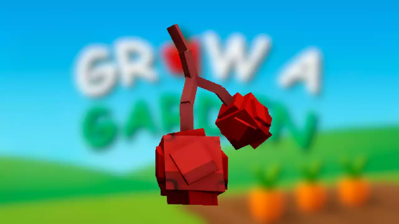 Semente Cranberry Grow a Garden