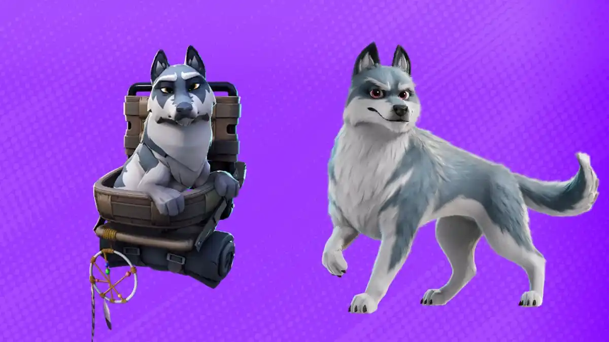 Como desbloquear o Mascote Remus gratuitamente no Fortnite Como desbloquear o Mascote Remus gratuitamente no Fortnite