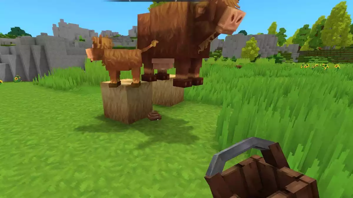 Como obter fezes em Hytale Como obter fezes em Hytale