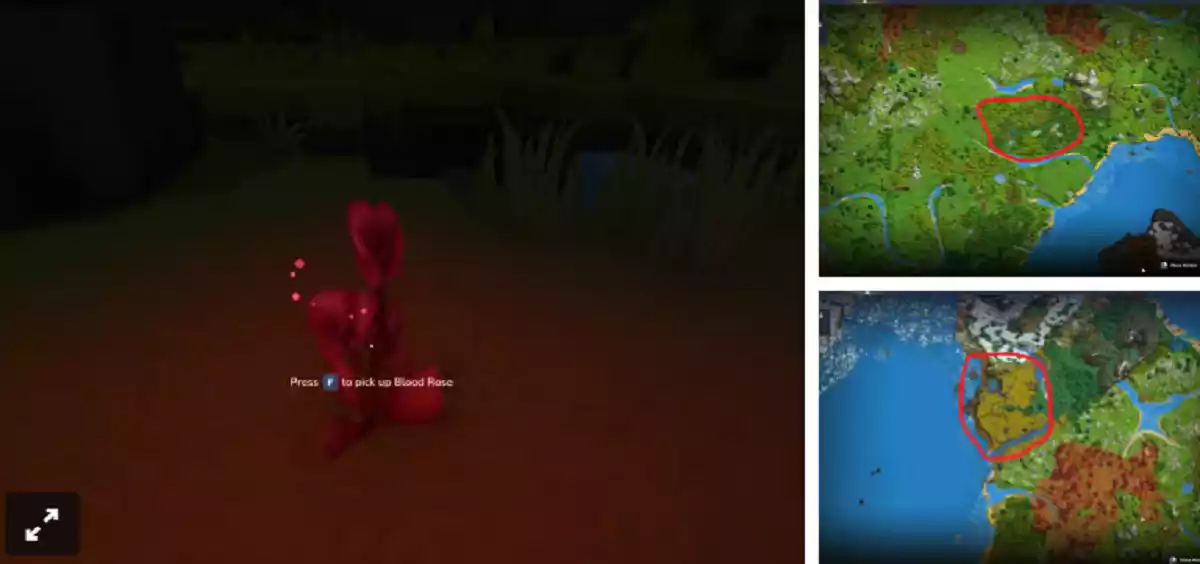 Hytale Localização da Rosa de Sangue Hytale Localização da Rosa de Sangue