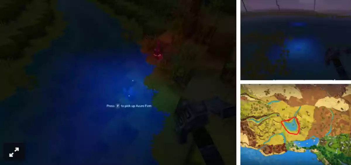 Hytale Localização da Samambaia Azul Hytale Localização da Samambaia Azul