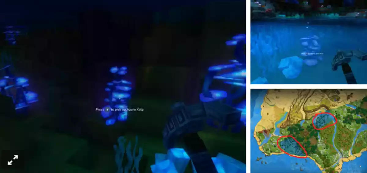 Hytale Localização da alga marinha azul Hytale Localização da alga marinha azul