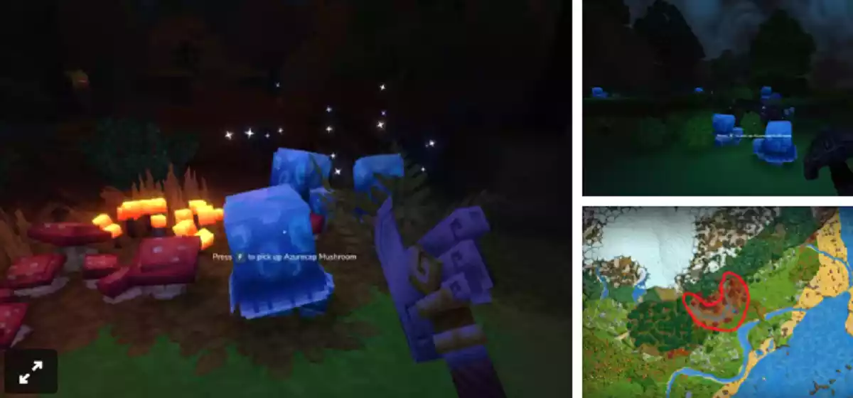 Hytale Localização do cogumelo Azurecap Hytale Localização do cogumelo Azurecap