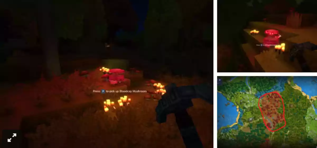 Hytale Localização do cogumelo Bloodcap Hytale Localização do cogumelo Bloodcap