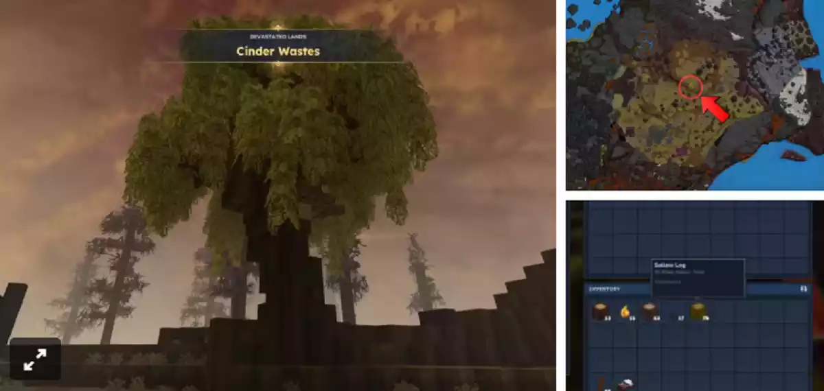 Tronco de Salgueiro Hytale Local Tronco de Salgueiro Hytale Local