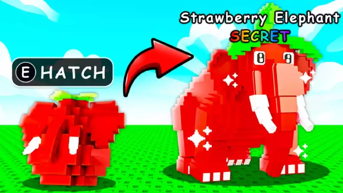 Tudo sobre Códigos Build a Brainrot Farm Roblox Tudo sobre Códigos Build a Brainrot Farm Roblox