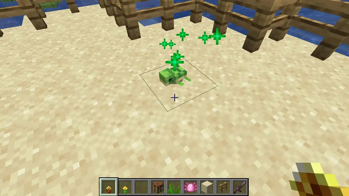 making a baby turtle stay as a b making a baby turtle stay as a b