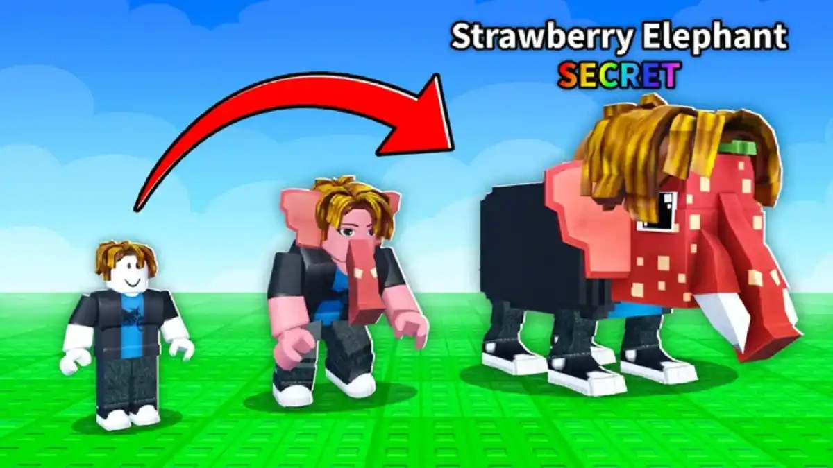 Links discord Códigos Be a Brainrot Roblox elefante morango Links discord Códigos Be a Brainrot Roblox elefante morango